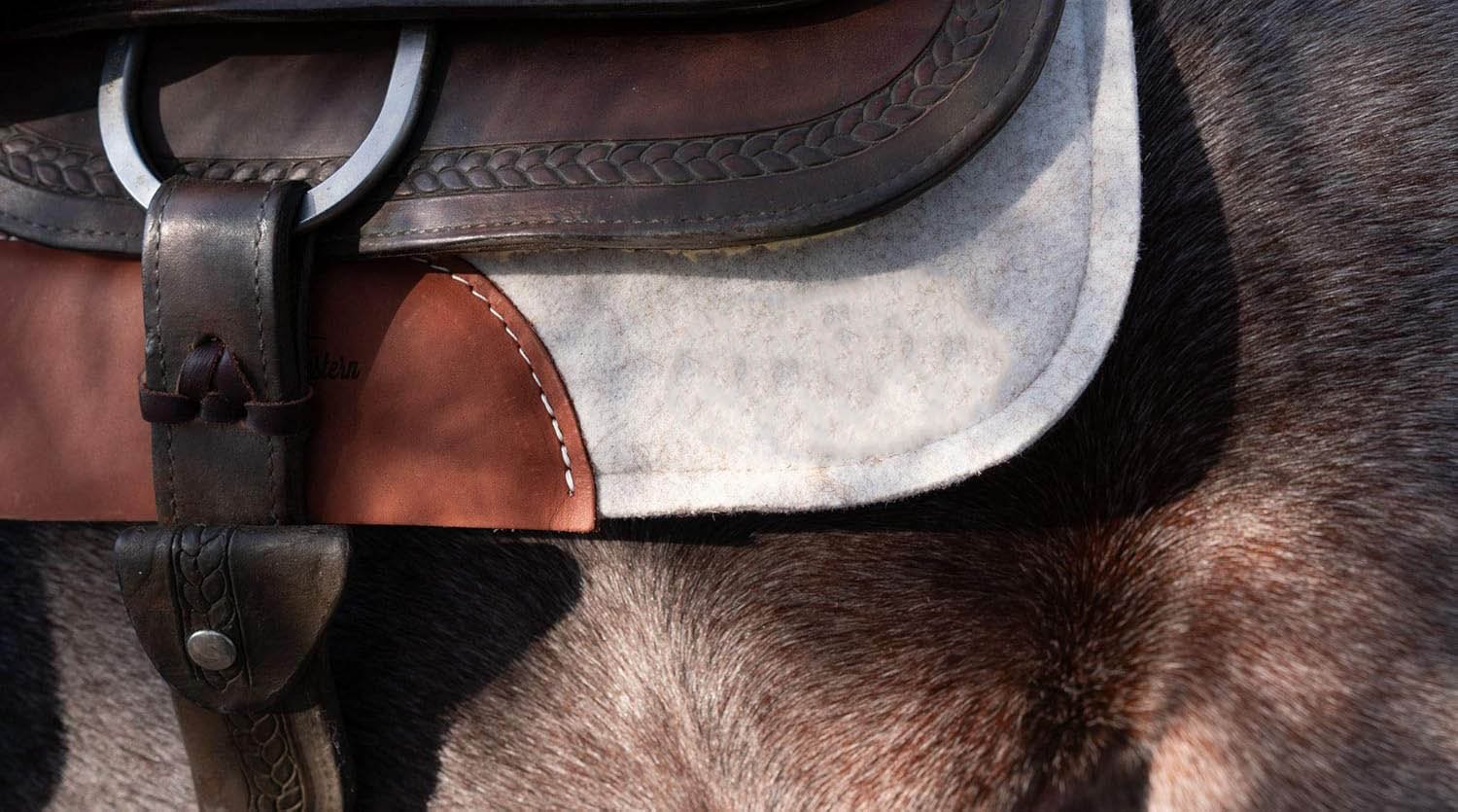 Equestrian & Saddlery